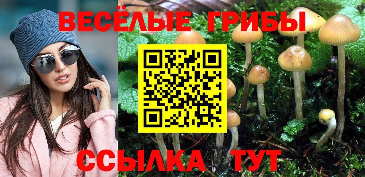 Галлюциногенные грибы прущие грибы Дивногорск
